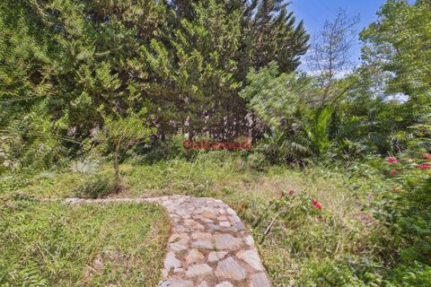 Villa i Pinar De Campoverde, Alicante, Pinar De Campoverde - € 255.000 | Ref: OKP2200 - foto 27