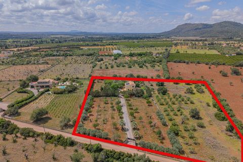 Herregård i Buger, Mallorca, Buger - € 1 149 000 | Ref: 08MR015/10961 - foto 3