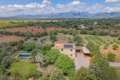 Herregård i Buger, Mallorca, Buger - € 1 149 000 | Ref: 08MR015/10961 - foto 27