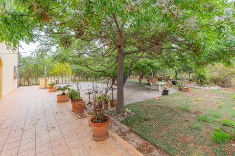 Herregård i Buger, Mallorca, Buger - € 1 149 000 | Ref: 08MR015/10961 - foto 31