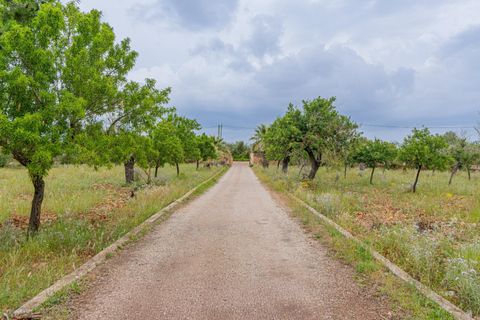 Herregård i Buger, Mallorca, Buger - € 1 149 000 | Ref: 08MR015/10961 - foto 34