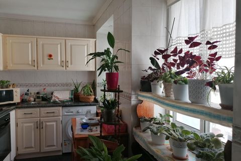 Byhus i Horta, Faial, Horta - € 298.000 | Ref: 1034 - foto 5
