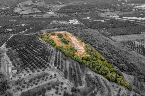 Helårsgrund i Silves, Faro, Silves - € 500.000 | Ref: ACC096 - foto 12