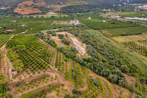 Helårsgrund i Silves, Faro, Silves - € 500.000 | Ref: ACC096 - foto 13