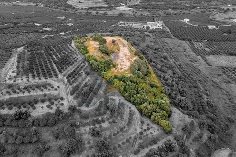 Helårsgrund i Silves, Faro, Silves - € 500.000 | Ref: ACC096 - foto 14