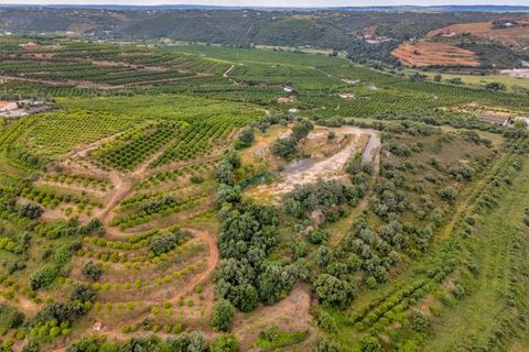 Helårsgrund i Silves, Faro, Silves - € 500.000 | Ref: ACC096 - foto 16