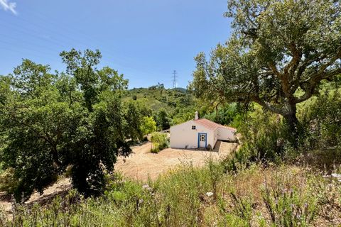 Farm hus i Odemira, Beja, Odemira - € 435.000 | Ref: IM046-FS - foto 36