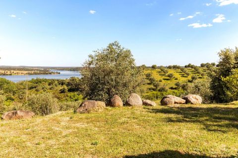 Villa a Ponte de Sor, Portalegre, Ponte de Sor - € 1.250.000 | Ref: C0409-02039 - foto 36