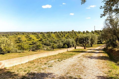 Villa a Ponte de Sor, Portalegre, Ponte de Sor - € 1.250.000 | Ref: C0409-02039 - foto 41