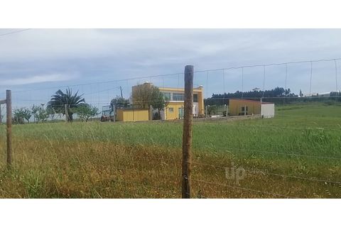 Villa i Torres Vedras, Lisbon, Torres Vedras - € 980.000 | Ref: JBC-M203 - foto 35