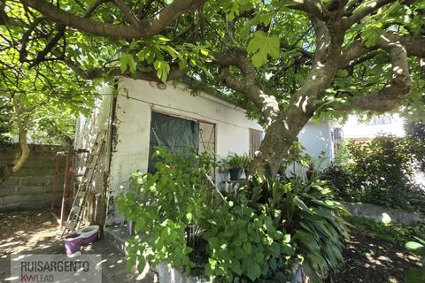 Villa a Alcains, Castelo Branco, Alcains - € 295.000 | Ref: CAS_264RS060526 - foto 3