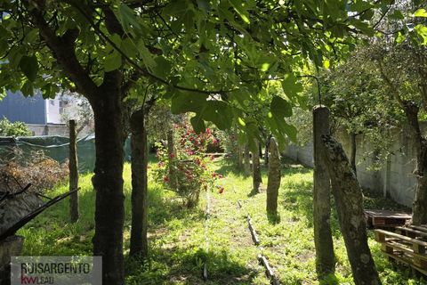 Villa a Alcains, Castelo Branco, Alcains - € 295.000 | Ref: CAS_264RS060526 - foto 4