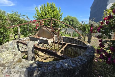 Villa a Alcains, Castelo Branco, Alcains - € 295.000 | Ref: CAS_264RS060526 - foto 5