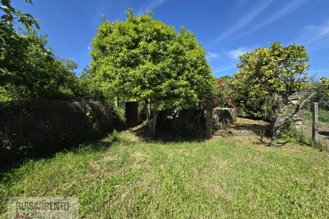 Villa a Alcains, Castelo Branco, Alcains - € 295.000 | Ref: CAS_264RS060526 - foto 7