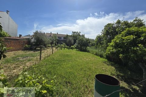 Villa a Alcains, Castelo Branco, Alcains - € 295.000 | Ref: CAS_264RS060526 - foto 8