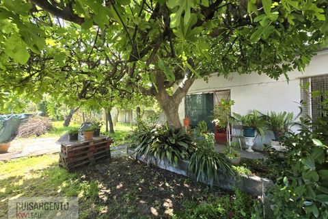 Villa a Alcains, Castelo Branco, Alcains - € 295.000 | Ref: CAS_264RS060526 - foto 10