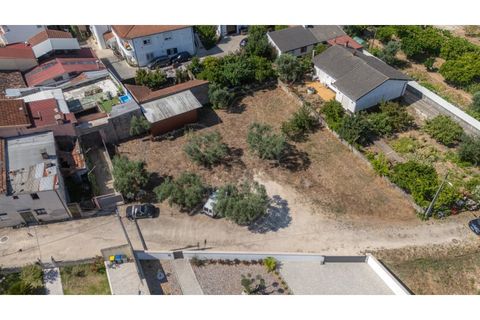 Terra a Mealhada, Aveiro, Mealhada - € 69.000 | Ref: cbr3589 - foto 3