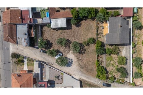 Terra a Mealhada, Aveiro, Mealhada - € 69.000 | Ref: cbr3589 - foto 6