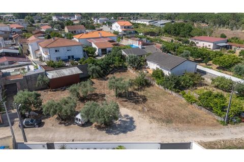 Terra a Mealhada, Aveiro, Mealhada - € 69.000 | Ref: cbr3589 - foto 8