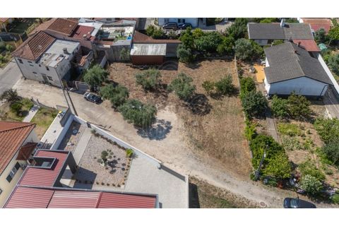 Terra a Mealhada, Aveiro, Mealhada - € 69.000 | Ref: cbr3589 - foto 9