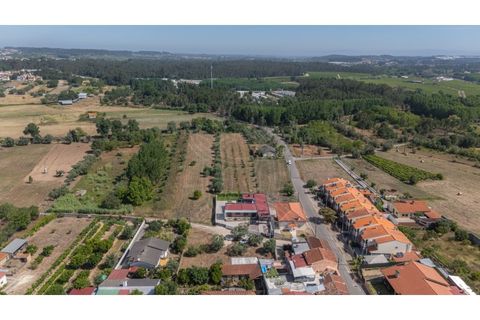 Terra a Mealhada, Aveiro, Mealhada - € 69.000 | Ref: cbr3589 - foto 10