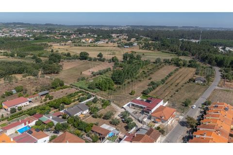 Terra a Mealhada, Aveiro, Mealhada - € 69.000 | Ref: cbr3589 - foto 11