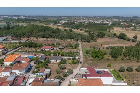 Terra a Mealhada, Aveiro, Mealhada - € 69.000 | Ref: cbr3589 - foto 12