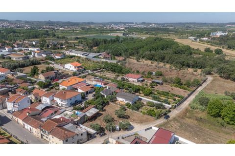 Terra a Mealhada, Aveiro, Mealhada - € 69.000 | Ref: cbr3589 - foto 13