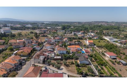 Terra a Mealhada, Aveiro, Mealhada - € 69.000 | Ref: cbr3589 - foto 14
