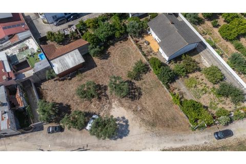 Terra a Mealhada, Aveiro, Mealhada - € 69.000 | Ref: cbr3589 - foto 17