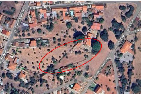 Helårsgrund i Alcanena, Santarem, Alcanena - € 46.000 | Ref: C0452-00589 - foto 6