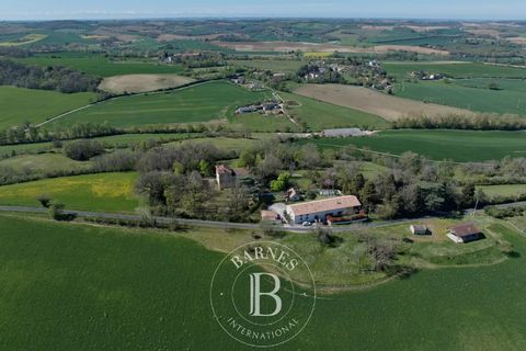 Landejendom i Lavaur, Tarn, Lavaur - € 960.000 | Ref: T339 - foto 18
