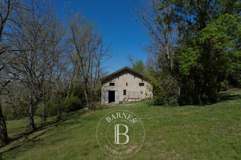 Landejendom i Lavaur, Tarn, Lavaur - € 980.000 | Ref: T340 - foto 16