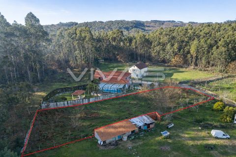 Helårsgrund i Vila Verde, Braga, Vila Verde - € 35.000 | Ref: 01-3553 - foto 2