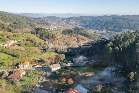 Helårsgrund i Vila Verde, Braga, Vila Verde - € 35.000 | Ref: 01-3553 - foto 7