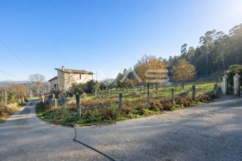 Helårsgrund i Vila Verde, Braga, Vila Verde - € 35.000 | Ref: 01-3553 - foto 15