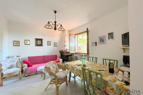 Villa i Massarosa, Lucca, Massarosa - € 205.000 | Ref: MV206 - foto 3