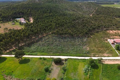 Helårsgrund i Torres Vedras, Lisbon, Torres Vedras - € 490.000 | Ref: N118TVD804 - foto 2