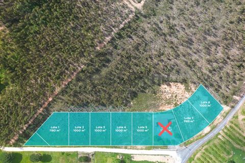 Helårsgrund i Torres Vedras, Lisbon, Torres Vedras - € 490.000 | Ref: N118TVD804 - foto 3
