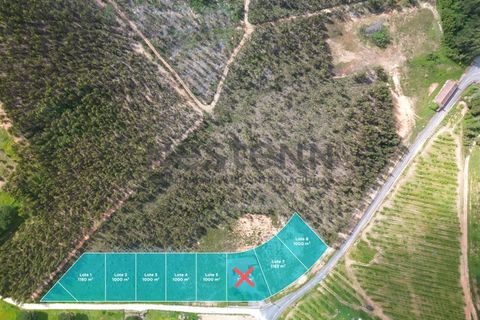 Helårsgrund i Torres Vedras, Lisbon, Torres Vedras - € 490.000 | Ref: N118TVD804 - foto 4