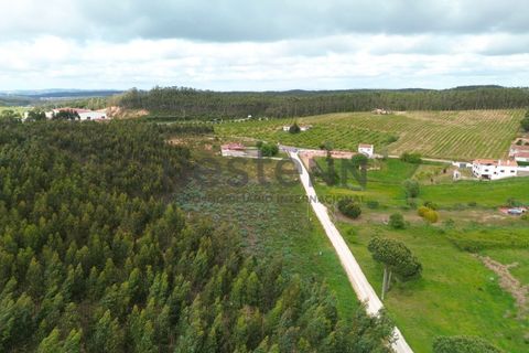 Helårsgrund i Torres Vedras, Lisbon, Torres Vedras - € 490.000 | Ref: N118TVD804 - foto 5