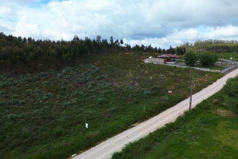 Helårsgrund i Torres Vedras, Lisbon, Torres Vedras - € 490.000 | Ref: N118TVD804 - foto 6
