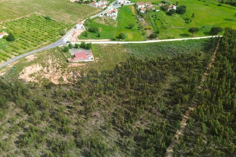 Helårsgrund i Torres Vedras, Lisbon, Torres Vedras - € 490.000 | Ref: N118TVD804 - foto 7
