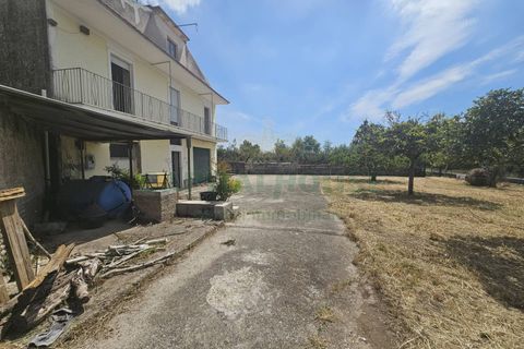 Villa a Pignataro Maggiore, Caserta, Pignataro Maggiore - € 115.000 | Ref: 115000indipendentepignataro - foto 4