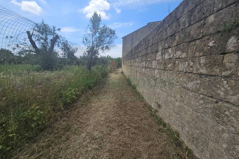 Villa a Pignataro Maggiore, Caserta, Pignataro Maggiore - € 115.000 | Ref: 115000indipendentepignataro - foto 28