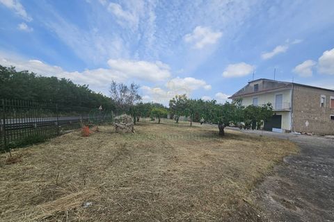 Villa a Pignataro Maggiore, Caserta, Pignataro Maggiore - € 115.000 | Ref: 115000indipendentepignataro - foto 31