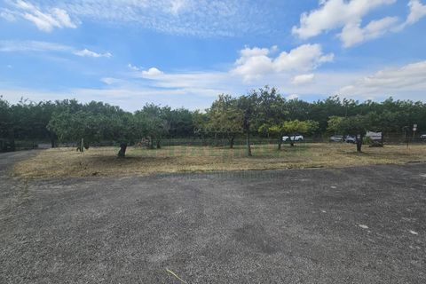 Villa a Pignataro Maggiore, Caserta, Pignataro Maggiore - € 115.000 | Ref: 115000indipendentepignataro - foto 32