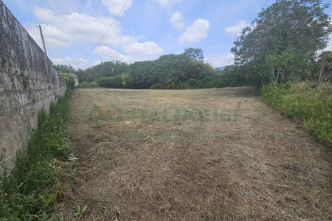 Villa a Pignataro Maggiore, Caserta, Pignataro Maggiore - € 115.000 | Ref: 115000indipendentepignataro - foto 33