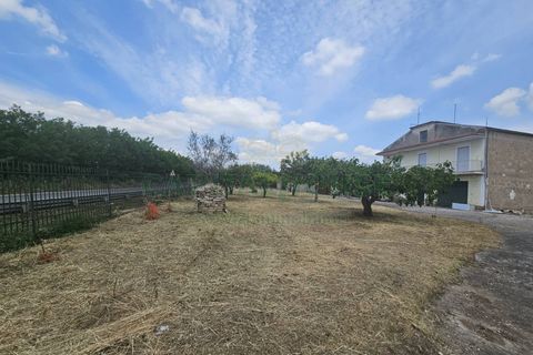 Villa a Pignataro Maggiore, Caserta, Pignataro Maggiore - € 115.000 | Ref: 115000indipendentepignataro - foto 34