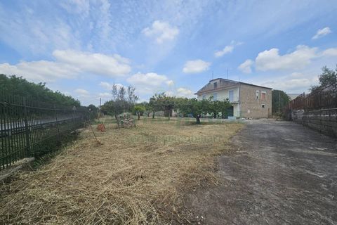 Villa a Pignataro Maggiore, Caserta, Pignataro Maggiore - € 115.000 | Ref: 115000indipendentepignataro - foto 35